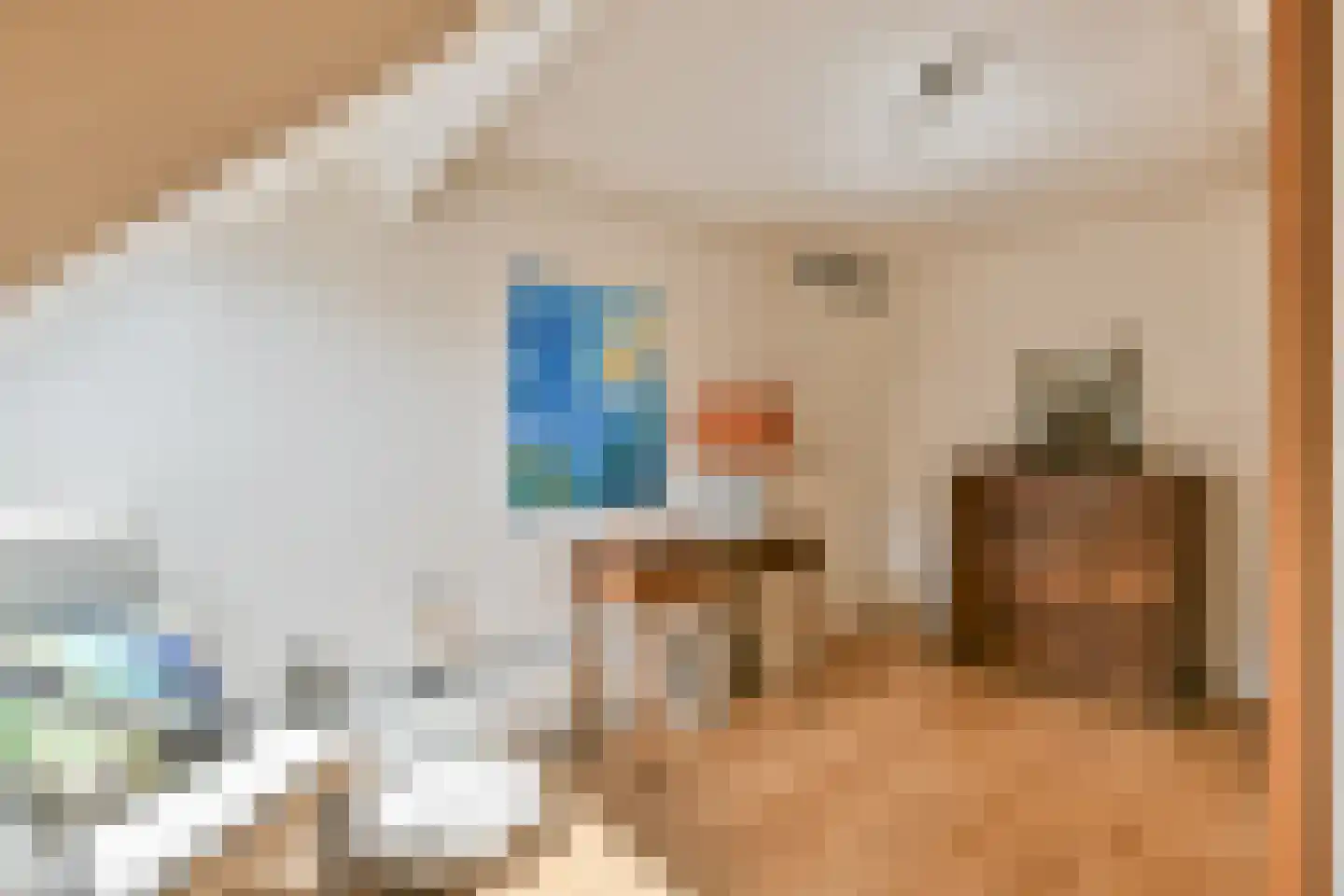 Schouw 14 Loosdrecht thumbnail 19