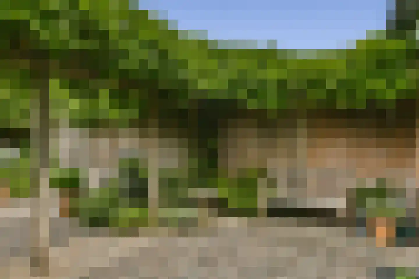 Schouw 14 Loosdrecht thumbnail 25