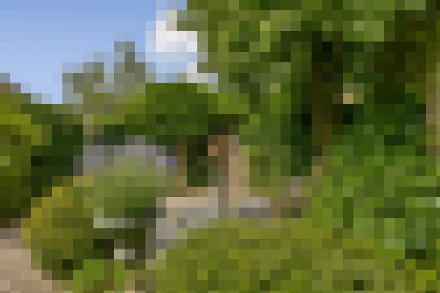 Schouw 14 Loosdrecht thumbnail 26