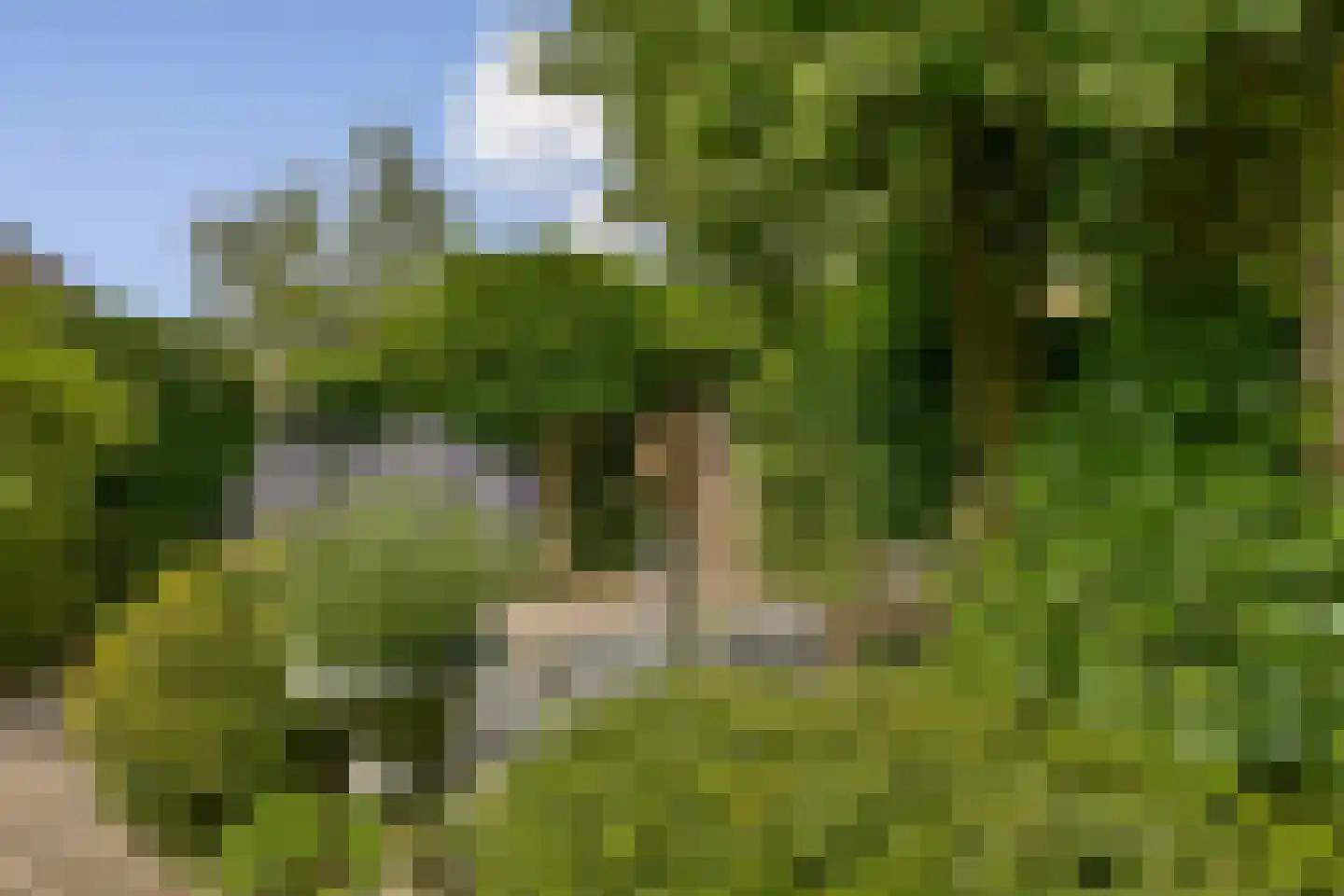 Schouw 14 Loosdrecht thumbnail 26