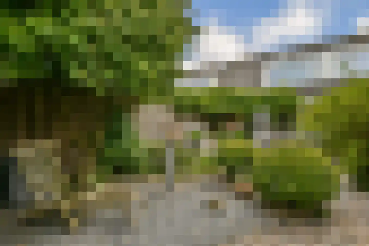 Schouw 14 Loosdrecht thumbnail 27