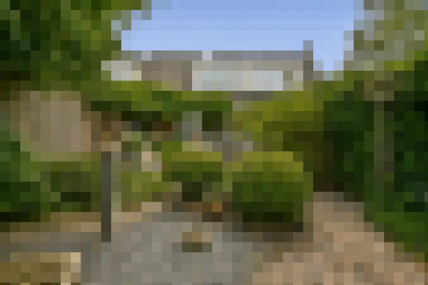 Schouw 14 Loosdrecht thumbnail 28