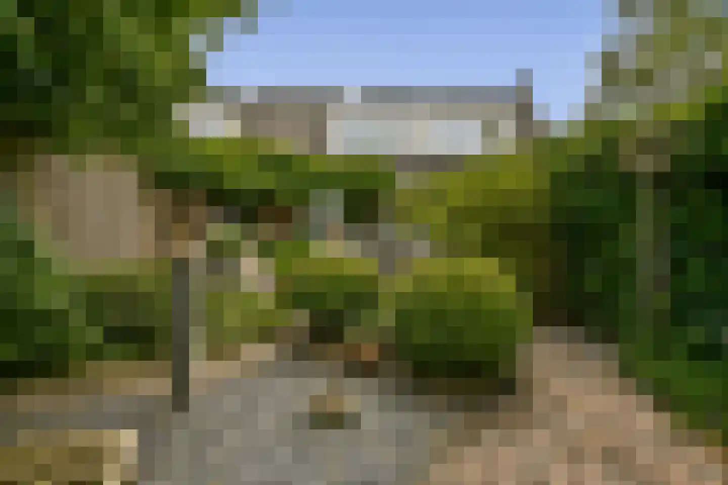 Schouw 14 Loosdrecht thumbnail 28
