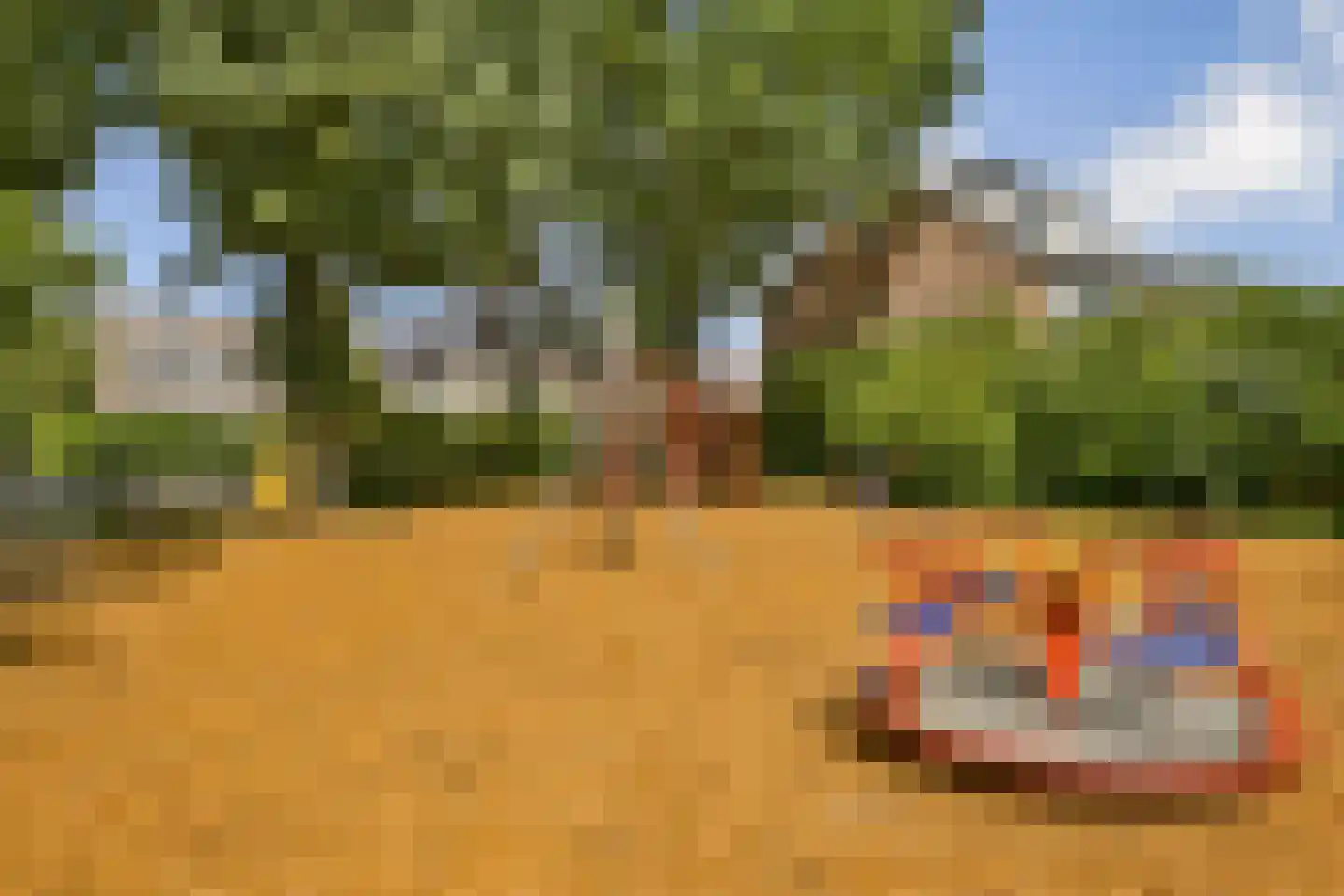 Schouw 14 Loosdrecht thumbnail 31