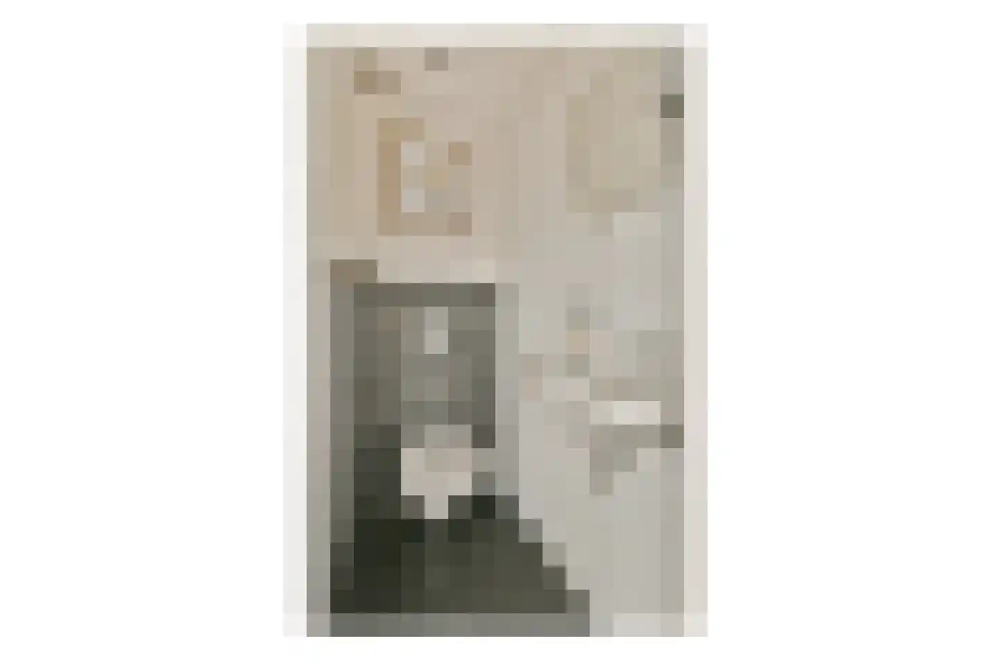 Schouw 14 Loosdrecht thumbnail 6