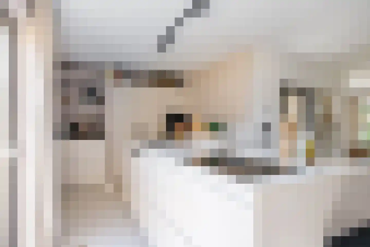 Schouw 15 Heerenveen thumbnail 19