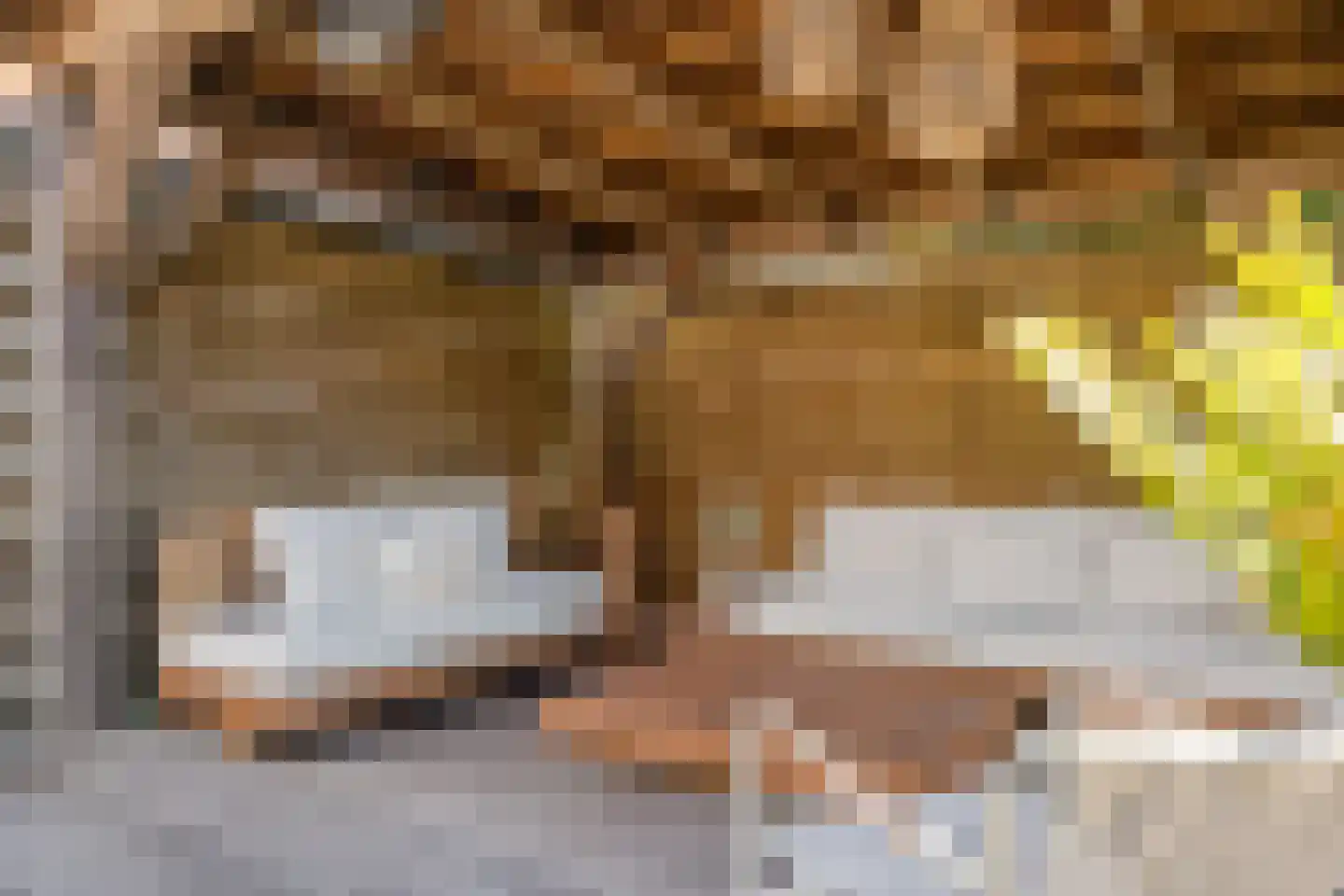 Schouw 15 Heerenveen thumbnail 28