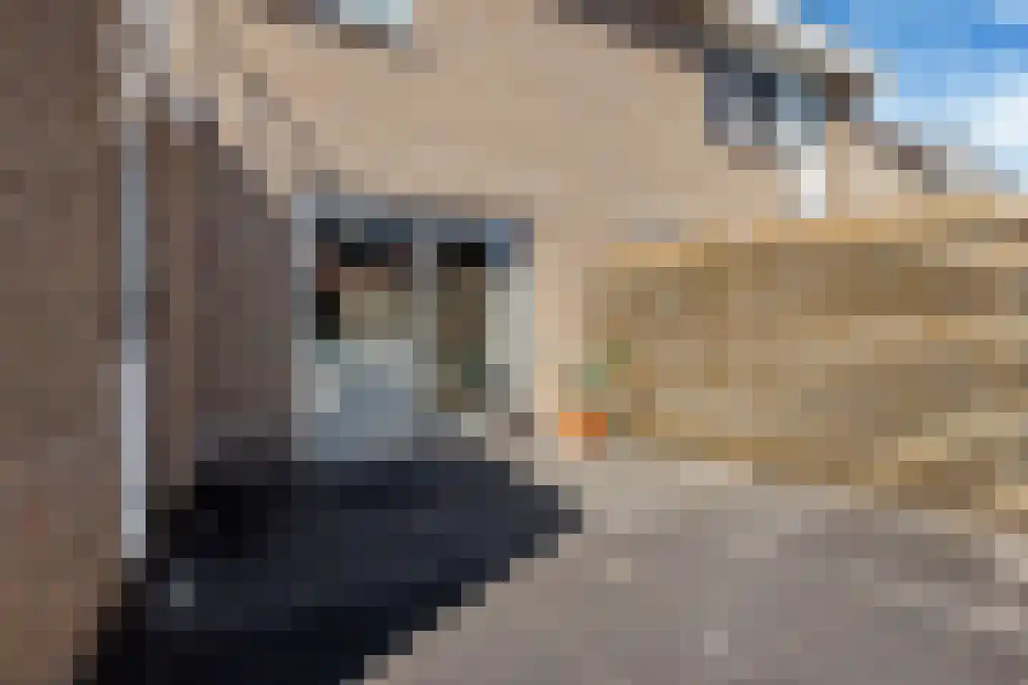 Schouw 15 Heerenveen thumbnail 31