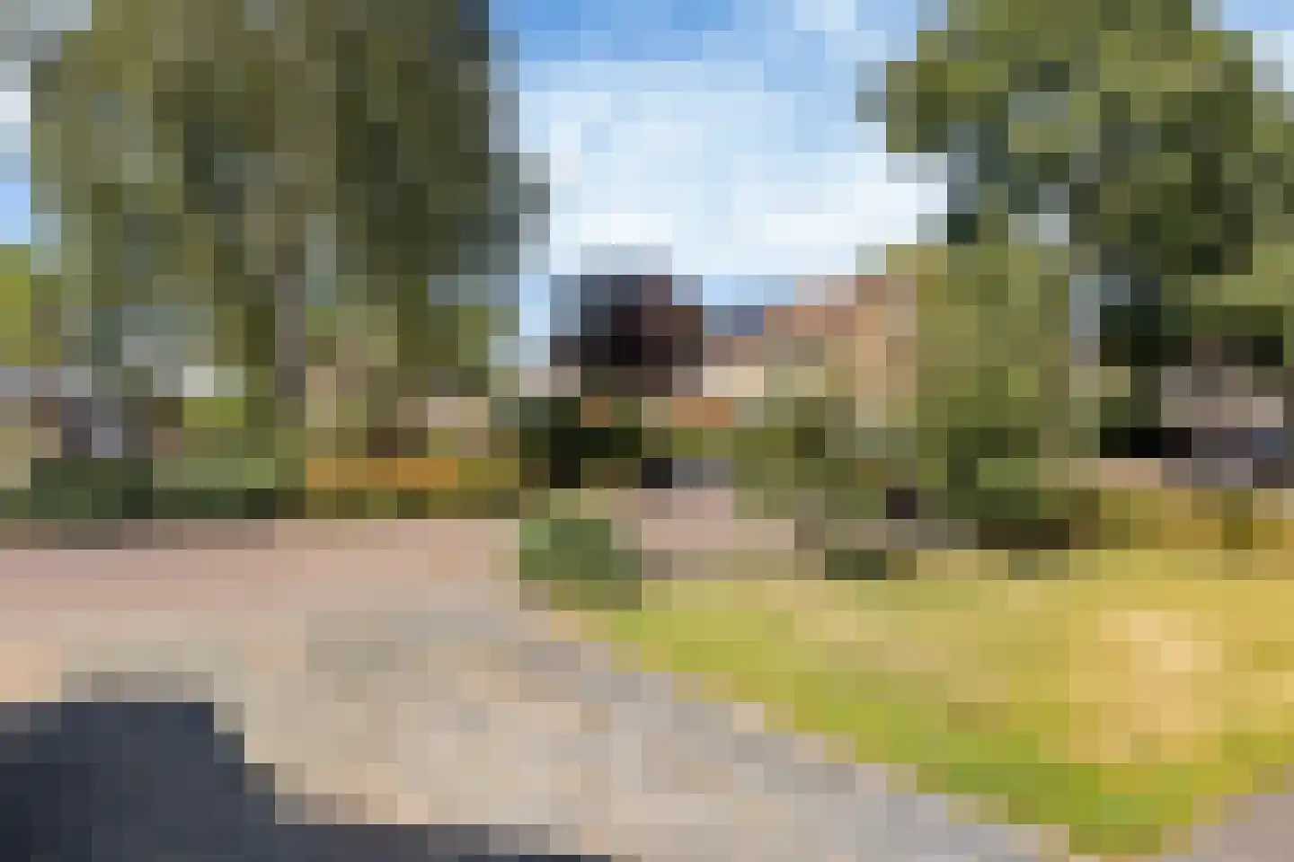 Schouw 15 Heerenveen thumbnail 4