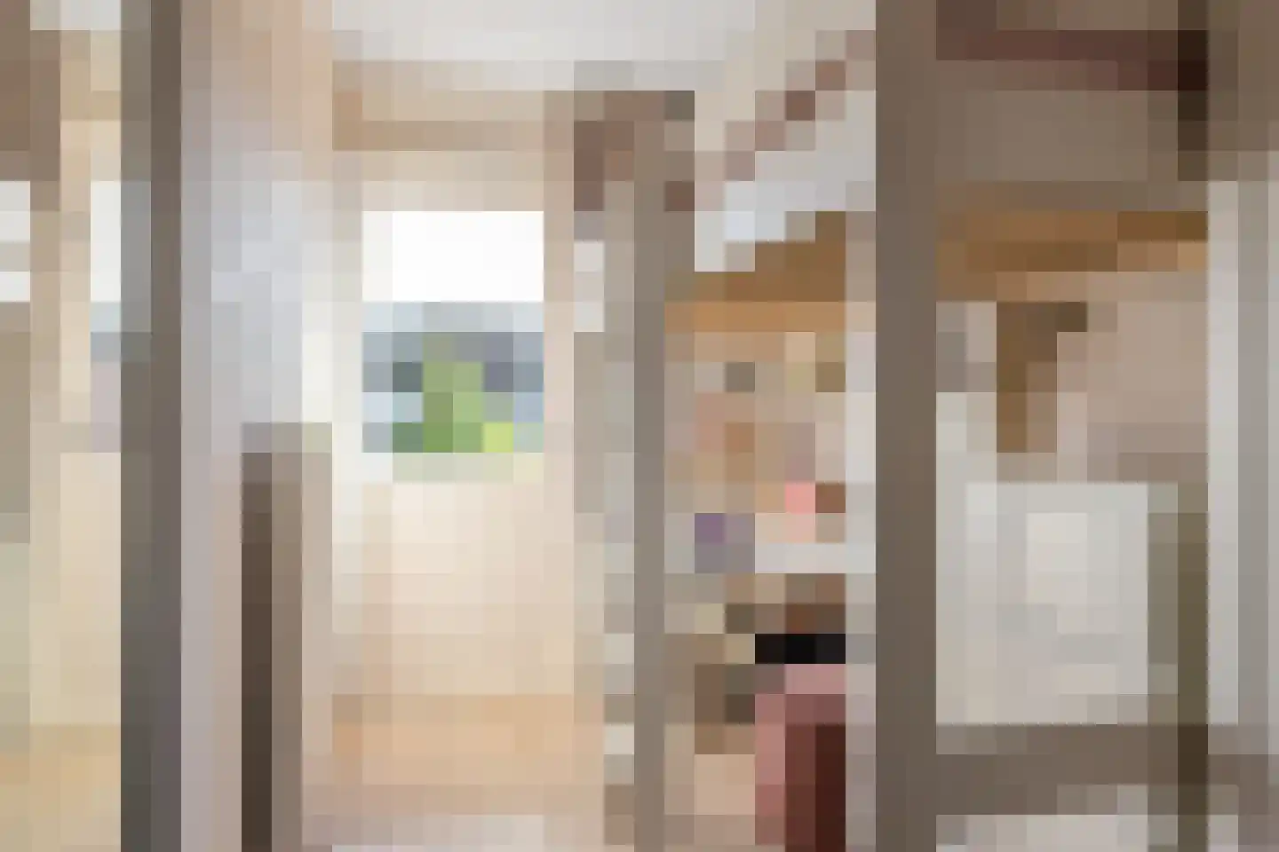 Schouw 15 Heerenveen thumbnail 44