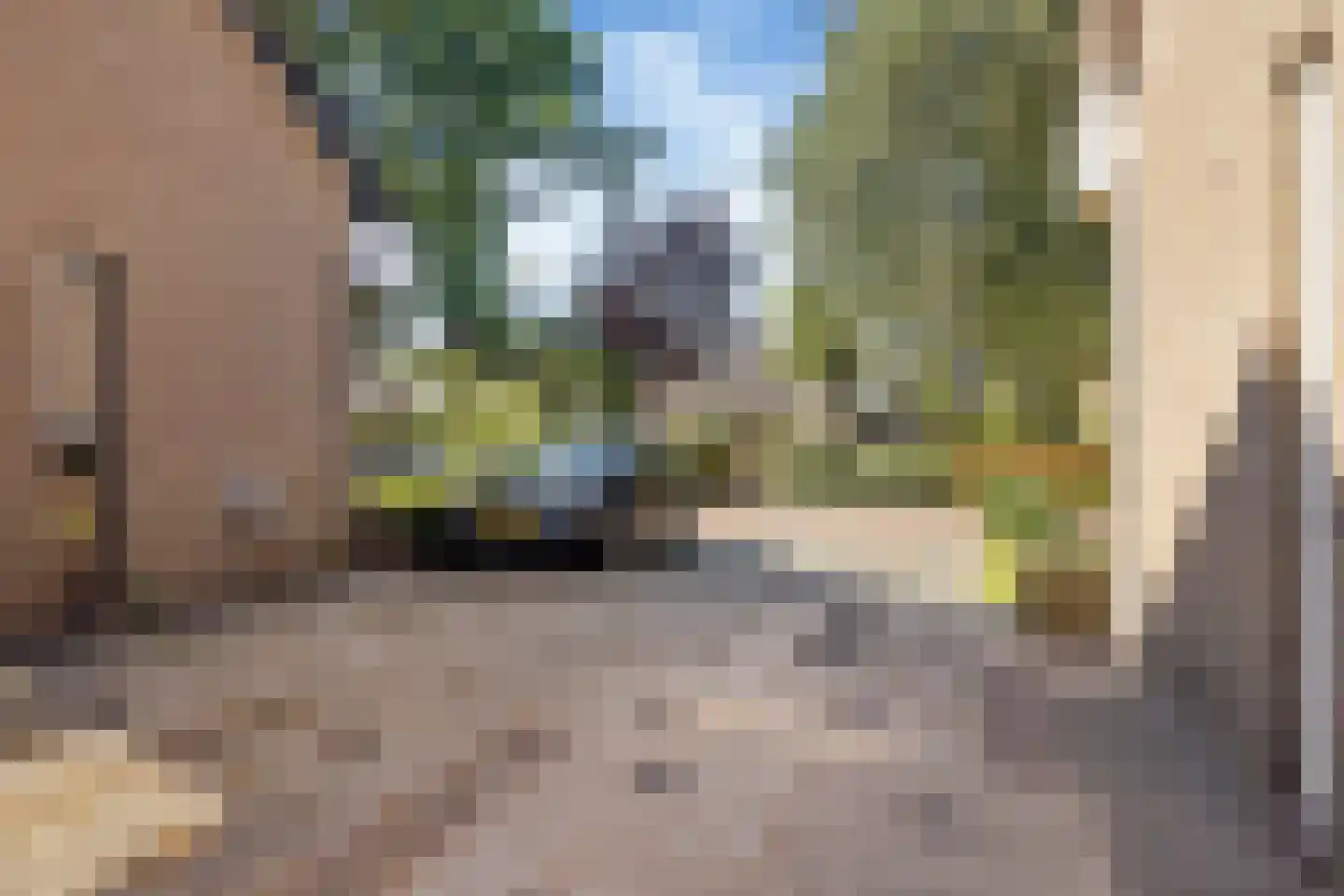 Schouw 15 Heerenveen thumbnail 5