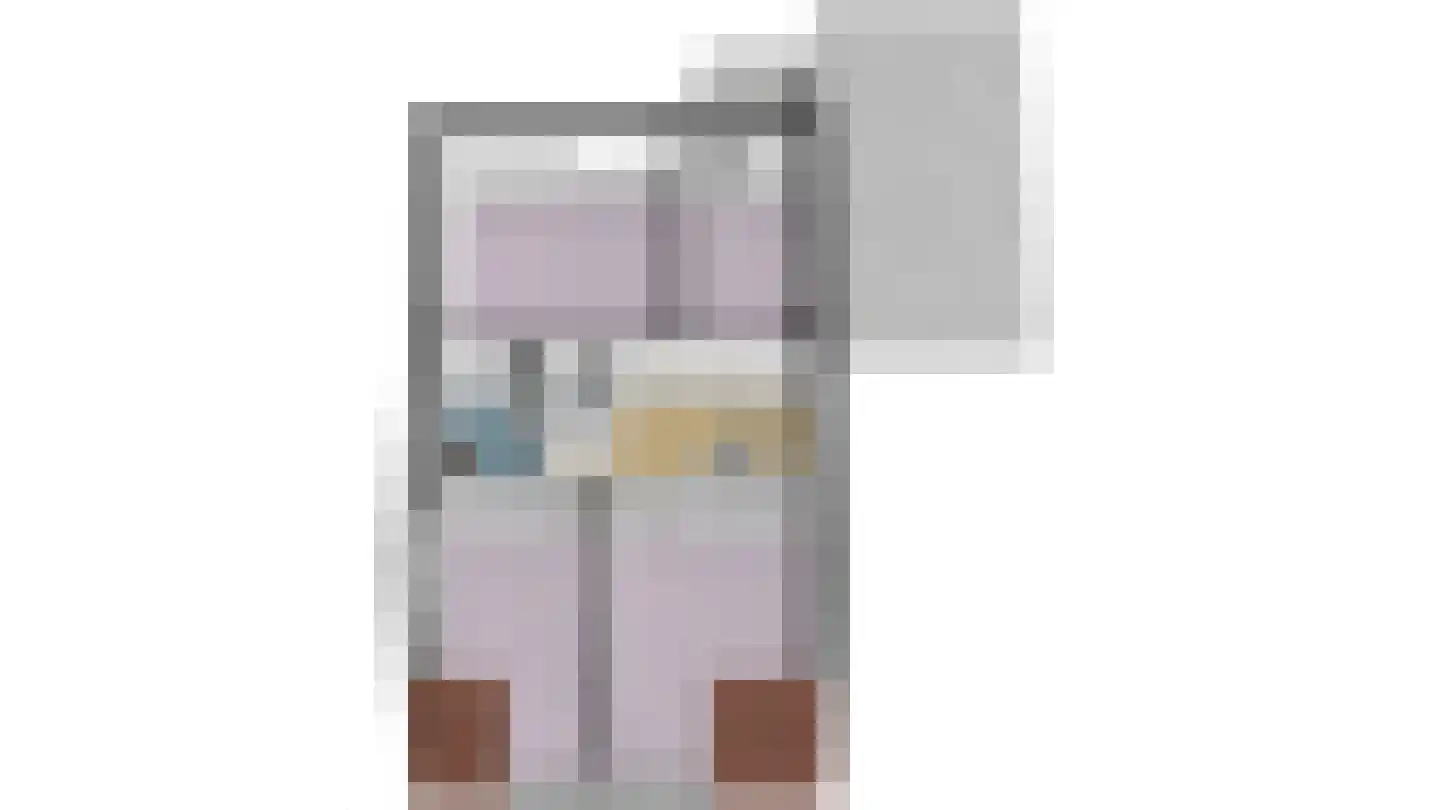 Schouw 15 Heerenveen thumbnail 68
