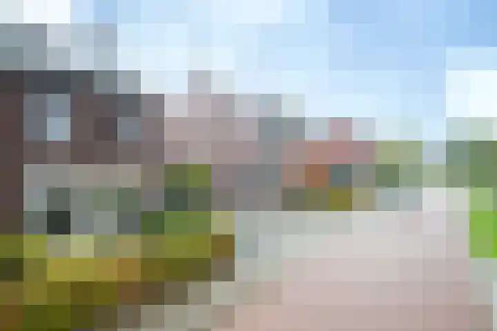 Schouw 15 Vollenhove thumbnail 10