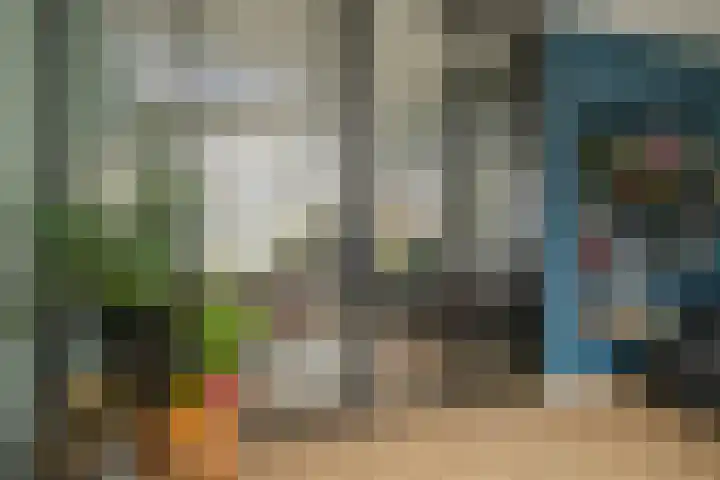 Schouw 15 Vollenhove thumbnail 13