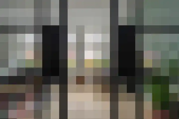 Schouw 15 Vollenhove thumbnail 14