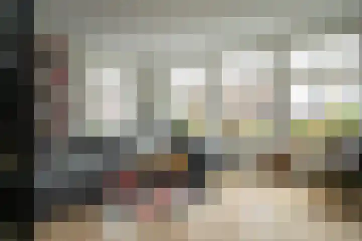 Schouw 15 Vollenhove thumbnail 15