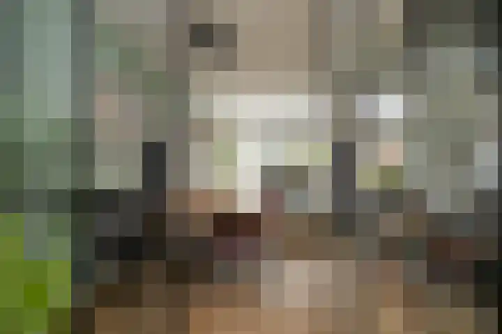 Schouw 15 Vollenhove thumbnail 16