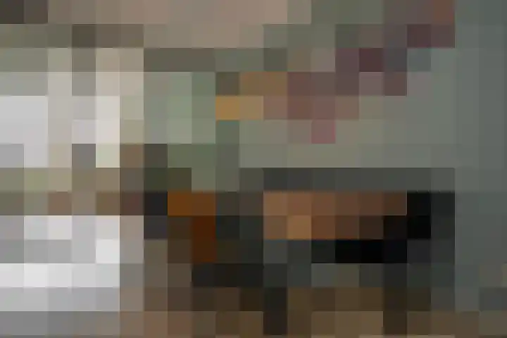 Schouw 15 Vollenhove thumbnail 17