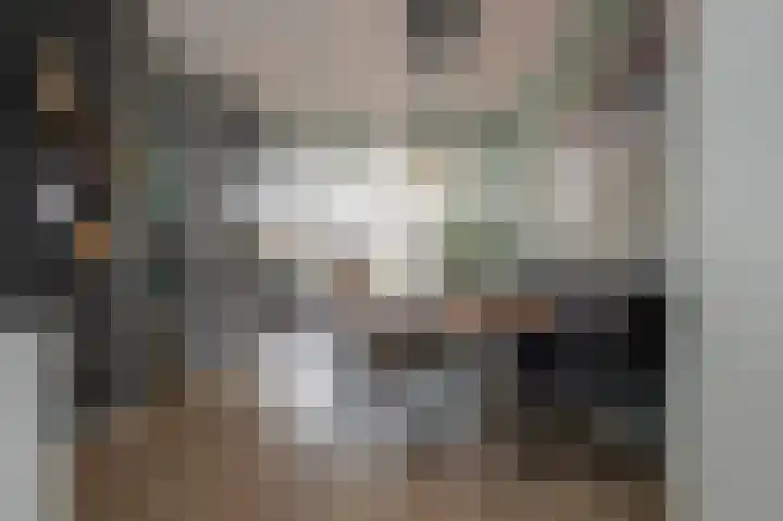 Schouw 15 Vollenhove thumbnail 18