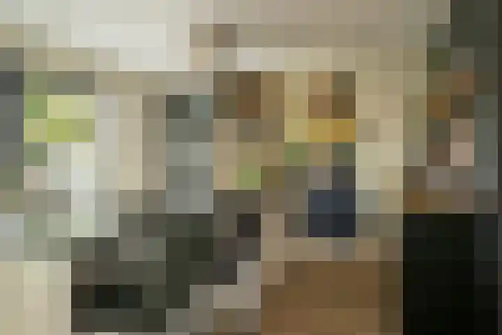 Schouw 15 Vollenhove thumbnail 19