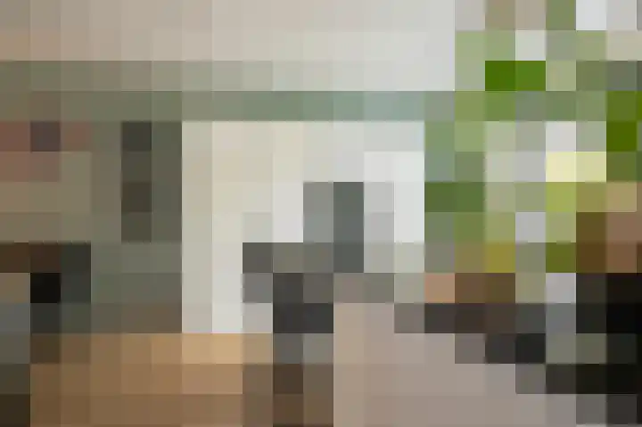 Schouw 15 Vollenhove thumbnail 20