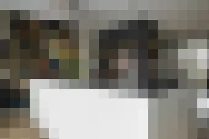 Schouw 15 Vollenhove thumbnail 22