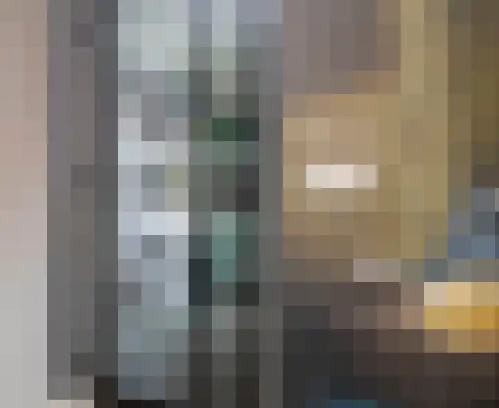 Schouw 15 Vollenhove thumbnail 23