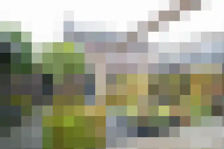 Schouw 15 Vollenhove thumbnail 26
