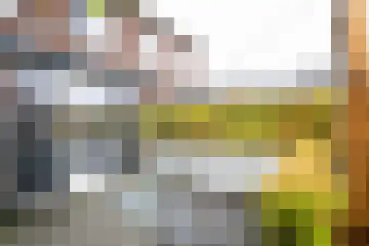 Schouw 15 Vollenhove thumbnail 27