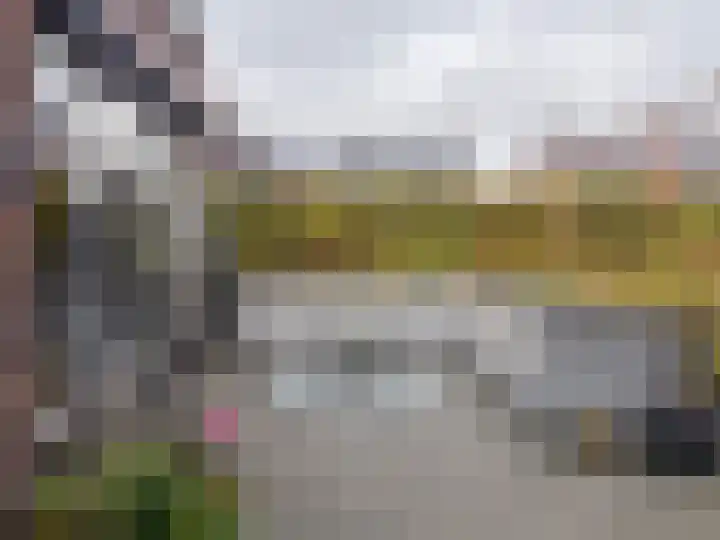 Schouw 15 Vollenhove thumbnail 28
