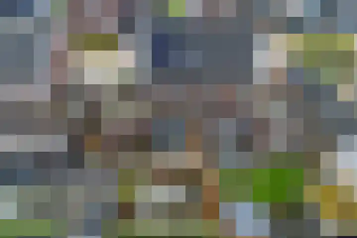 Schouw 15 Vollenhove thumbnail 29