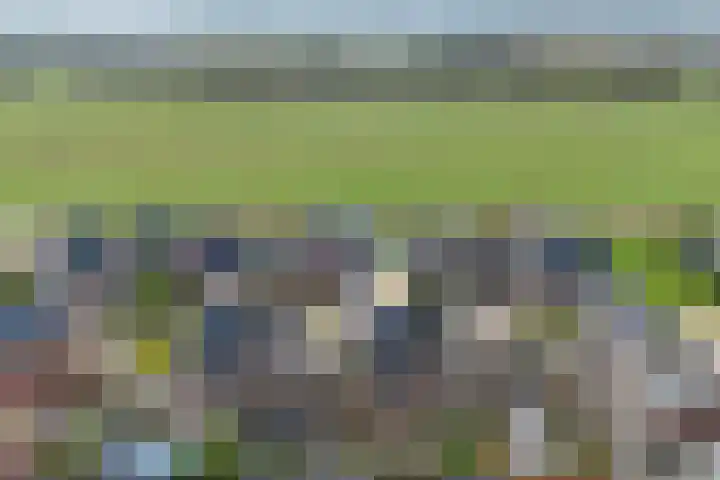 Schouw 15 Vollenhove thumbnail 30