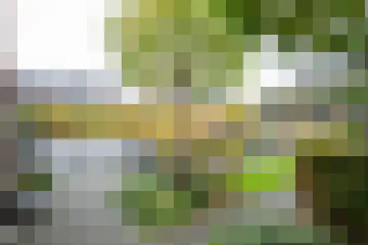 Schouw 15 Vollenhove thumbnail 31