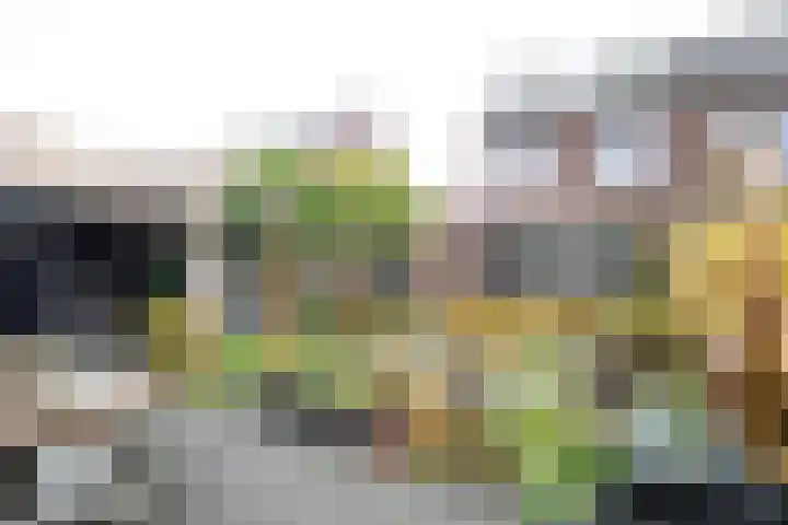 Schouw 15 Vollenhove thumbnail 32
