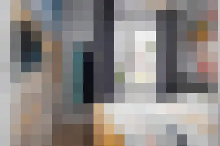 Schouw 15 Vollenhove thumbnail 34