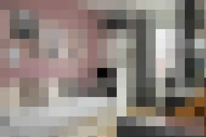 Schouw 15 Vollenhove thumbnail 36