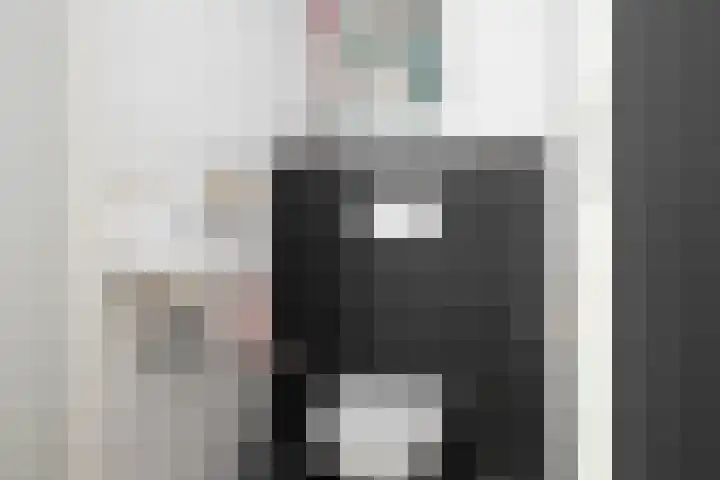 Schouw 15 Vollenhove thumbnail 37