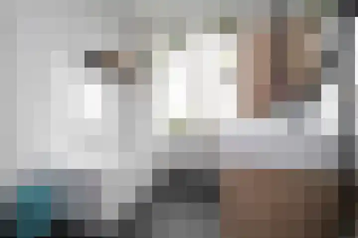 Schouw 15 Vollenhove thumbnail 38
