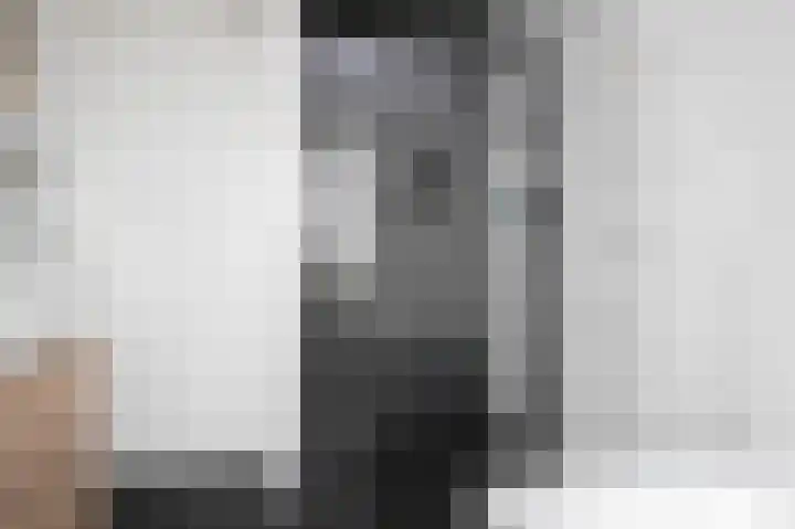Schouw 15 Vollenhove thumbnail 39