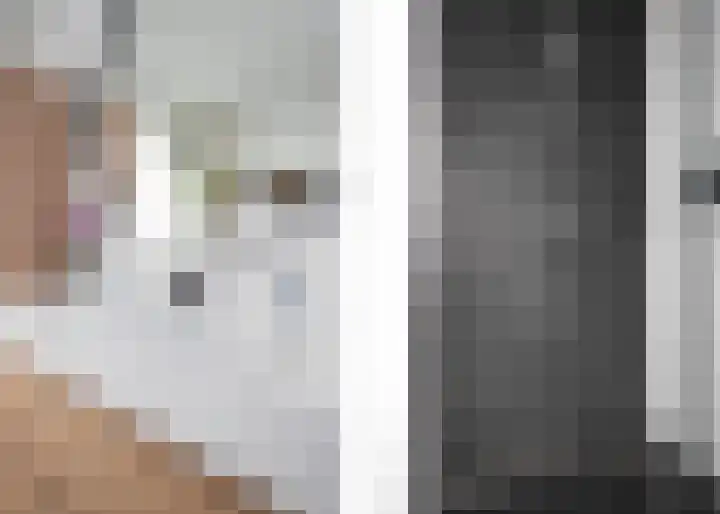 Schouw 15 Vollenhove thumbnail 40