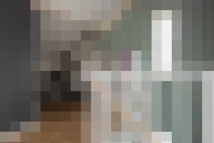 Schouw 15 Vollenhove thumbnail 41