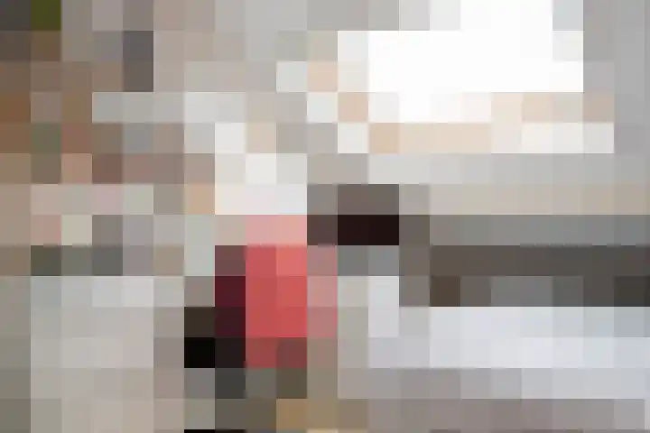 Schouw 15 Vollenhove thumbnail 42