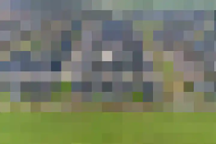 Schouw 15 Vollenhove thumbnail 6