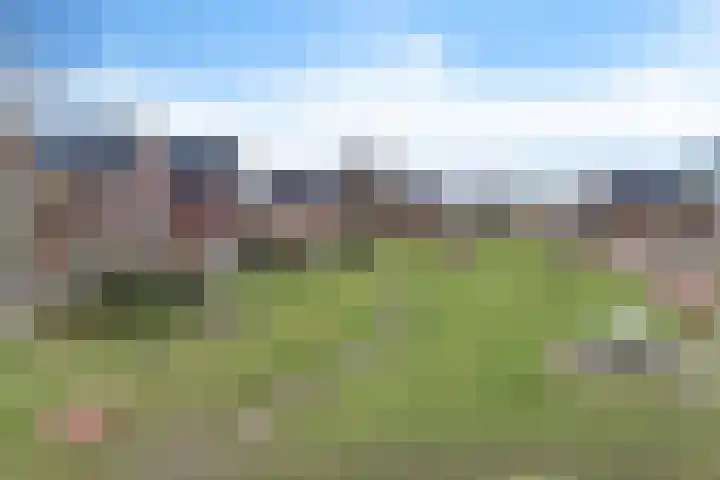 Schouw 15 Vollenhove thumbnail 8