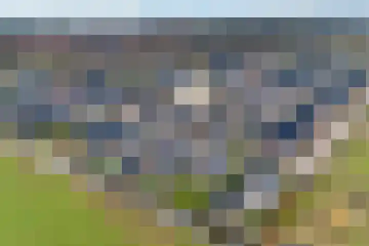 Schouw 15 Vollenhove thumbnail 9