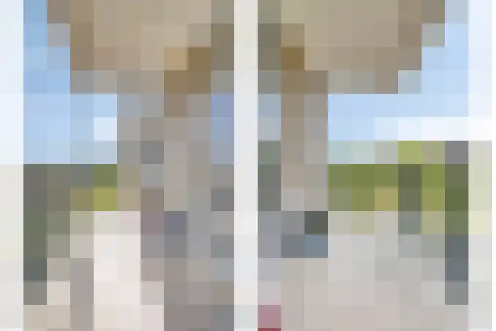 Schouw 17 Bergen op Zoom thumbnail 17