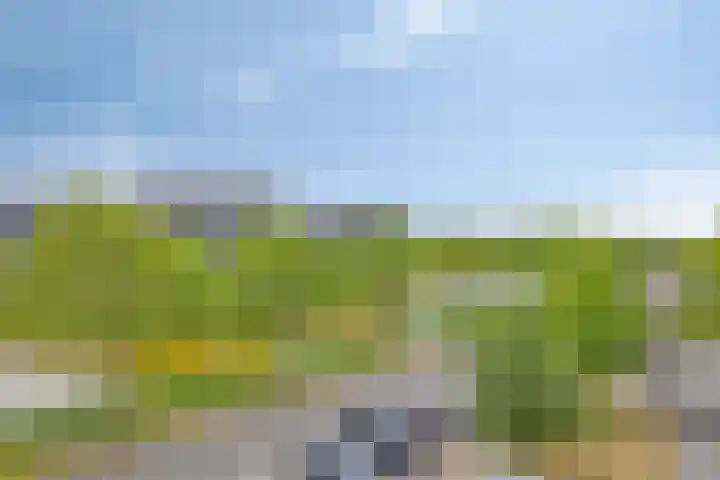 Schouw 17 Bergen op Zoom thumbnail 20