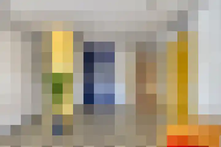 Schouw 17 Bergen op Zoom thumbnail 22