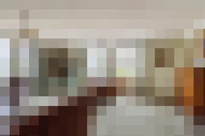 Schouw 17 Bergen op Zoom thumbnail 4