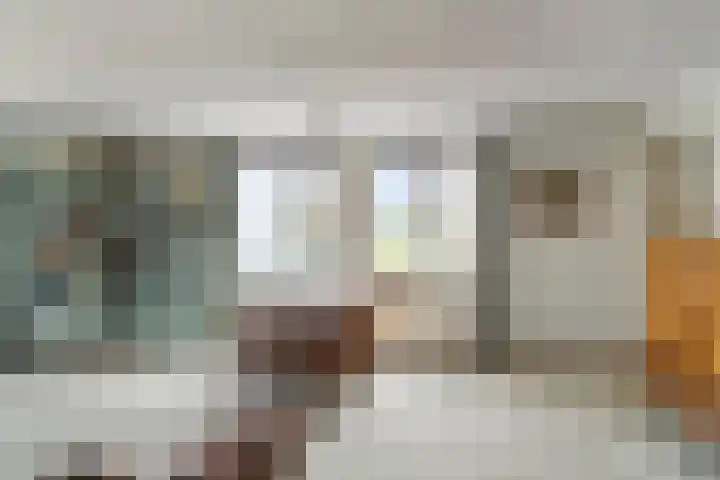 Schouw 17 Bergen op Zoom thumbnail 5
